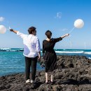 푸른신창 이미지