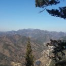 금산-55 이미지