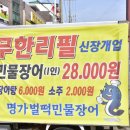 벌떡 장어 이미지