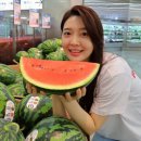 달 달한 수박 한 통이 9990원. 롯 데 마트 '꿀맛 수박 페스티벌' 이미지