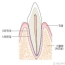 CK치과병원 이미지