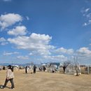 부산애견 이미지