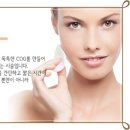 주미스 네이버블로그