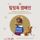 힐링독 이미지