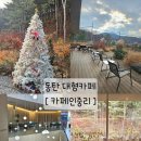 소로4-중리2 | 동탄 대형카페 [카페인중리] 재방문 후 실망한 솔직한 내돈내산 비추후기 (장점,단점 총정리)