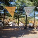 숲사이길펜션 이미지