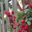 산학골 산장 이미지