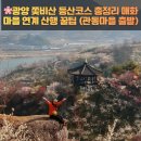 관동마을회관 | 🌸광양 쫓비산 등산코스 총정리 매화마을 연계 산행 꿀팁 (관동마을 출발)