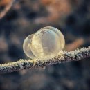 대표코스/역사관광코스/테마관광코스 | 파주 시티투어버스 DMZ 코스 후기｜예약부터 관광까지 한 번에 끝