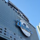 창원NC파크 팀스토어 및 217블럭,218블럭,116블럭 시야 후기 및 추천