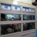아쿠아프로헤어