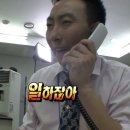 폼폼 | 추구미 백수 도달미 일개미