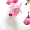 신구대학교 이미지