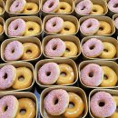 토현중학교 이미지