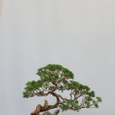 기주진백 이미지