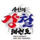 강철 용인대 태권도장 이미지