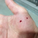 임경빈골프아카데미 이미지