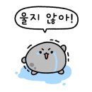 짚신매운갈비찜파주