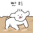 엄마네손칼국수 이미지