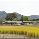 외암마을 이미지