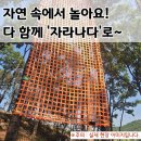공예놀이터 | 이천 아이랑 가볼 만한 숲 놀이터 자라나다 후기 | 카페·체험·공예 한 번에