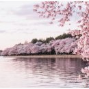 수암한의원 이미지