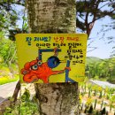 동화마을수목원 이미지