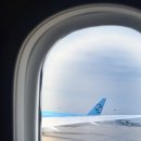 873 | 중국 | 인천(ICN) - 대련,다롄(DLC) 대한항공 KE873 (B787-9) 탑승 후기 (+기내식)