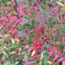 담양온천 이미지