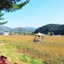 무이예술관 이미지