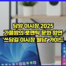 담양JC - 광주광역시 | 담양 야시장 2025: 가을밤의 로맨틱 문화 향연, '쓰담길 야시장 월담' 가이드