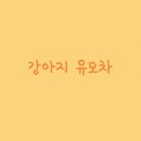 야옹아 멍멍해봐 이미지