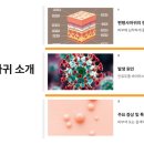 연세조은피부과의원 광명점 이미지