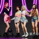 모모랜드 카카오 검색결과