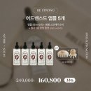 첫 진행 비블리안 탈모앰플