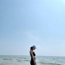 꽃지해송펜션 이미지