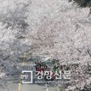제일원떡방앗간