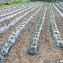 부평1리 마을회관 이미지