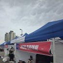 (재)평화방송 | 2026 머니투데이방송 삼일절 마라톤 대회 하프 후기 (w/GRP)