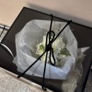 폴라리스 | 폴라리스 웨딩 본식 후기(서울대 호암교수회관 제휴 드레스샵)