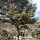 우둠지 풍천장어 이미지