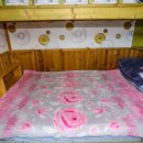 속리산펜션 | 문장대힐링하우스 문장대힐링하우스 상주펜션, 속리산펜션으로 제대로 힐링하고 온 후기