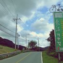 동강의품속 오마이뉴스