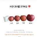 1554 | 딱3일간 통큰 1만원할인/햇부사 정품 3kg