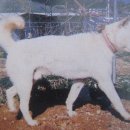 대사농장 이미지