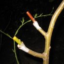 나무와 돌 이미지