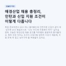 미주산업 | 애경산업 채용 총정리, 인턴과 신입 지원 조건이 이렇게 다릅니다