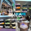 오사카 신사이바시 아식스 노바블라스트5 러닝화 종류 및 텍스프리 면세 후기