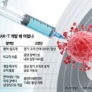새시장