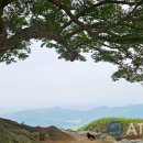 임천 유태사 묘 | 충남의 명산 부여 &#34;성흥산&#34; 등산코스 영상 후기